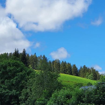 Ferienwohnung Hitz Hinterzarten Exteriér fotografie