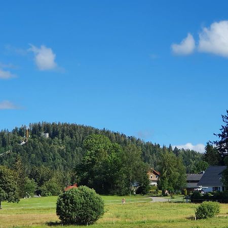 Ferienwohnung Hitz Hinterzarten Exteriér fotografie