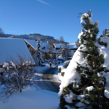 Ferienwohnung Hitz Hinterzarten Exteriér fotografie