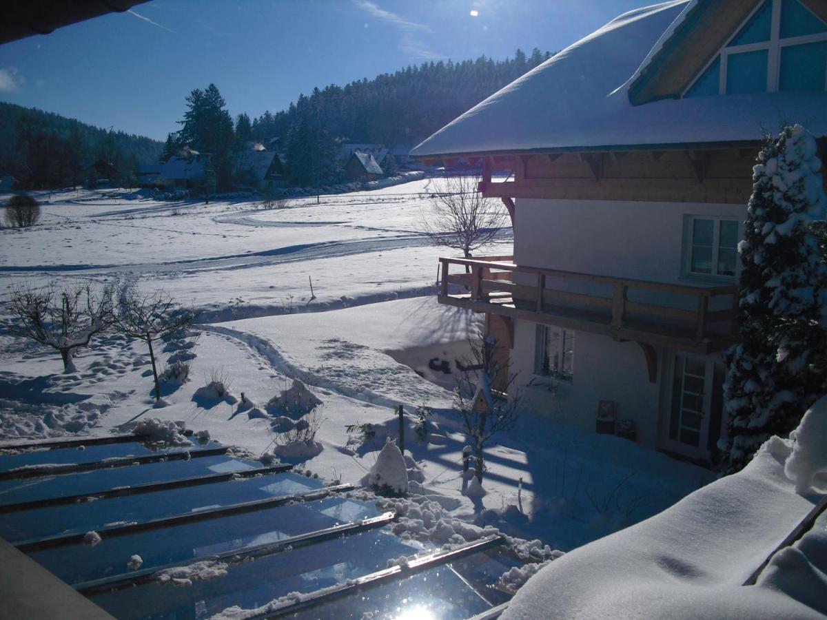 Ferienwohnung Hitz Hinterzarten Exteriér fotografie