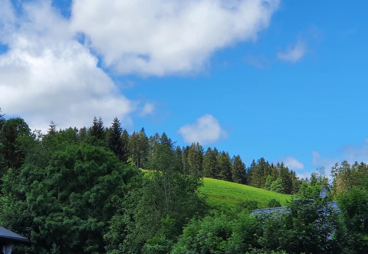 Ferienwohnung Hitz Hinterzarten Exteriér fotografie