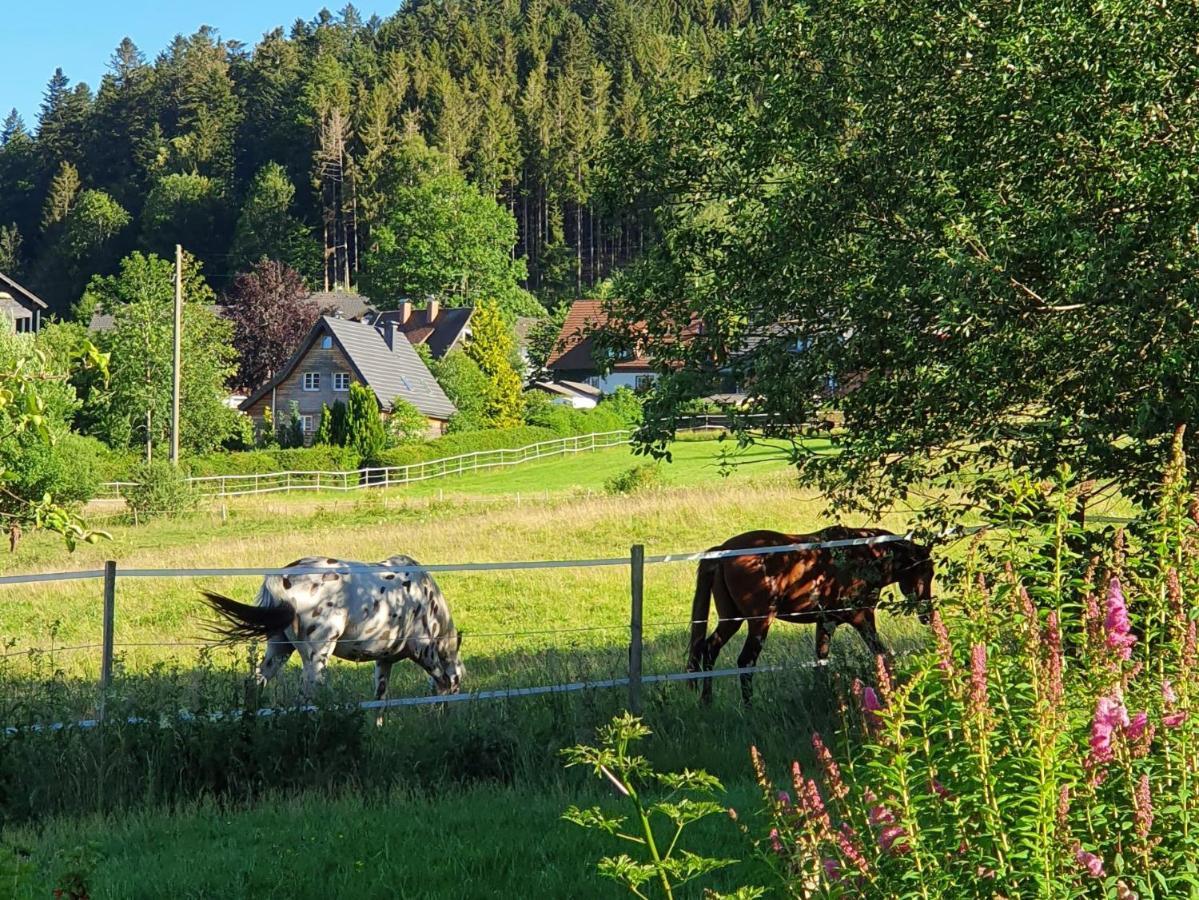 Ferienwohnung Hitz Hinterzarten Exteriér fotografie