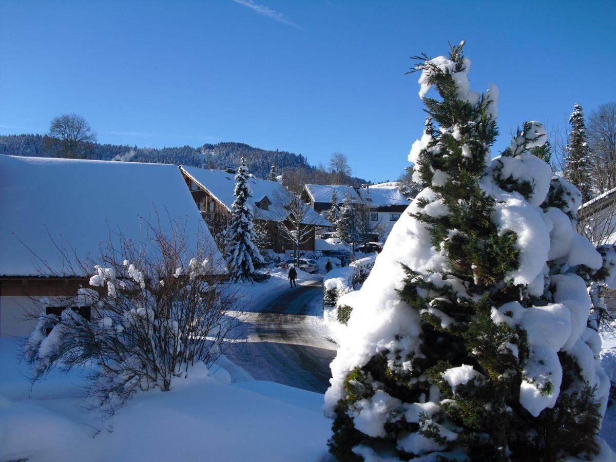 Ferienwohnung Hitz Hinterzarten Exteriér fotografie
